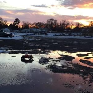 Meet your Posher, Damian